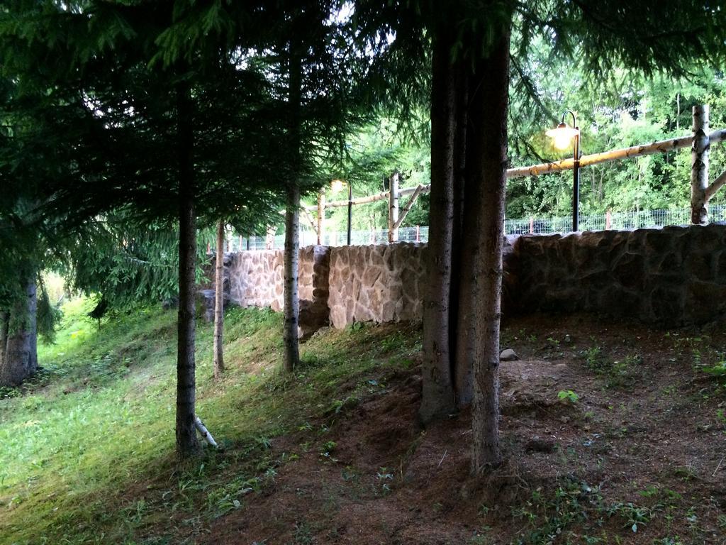Casa Laur Cu Plaja Privata 호텔 Colibiţa 외부 사진